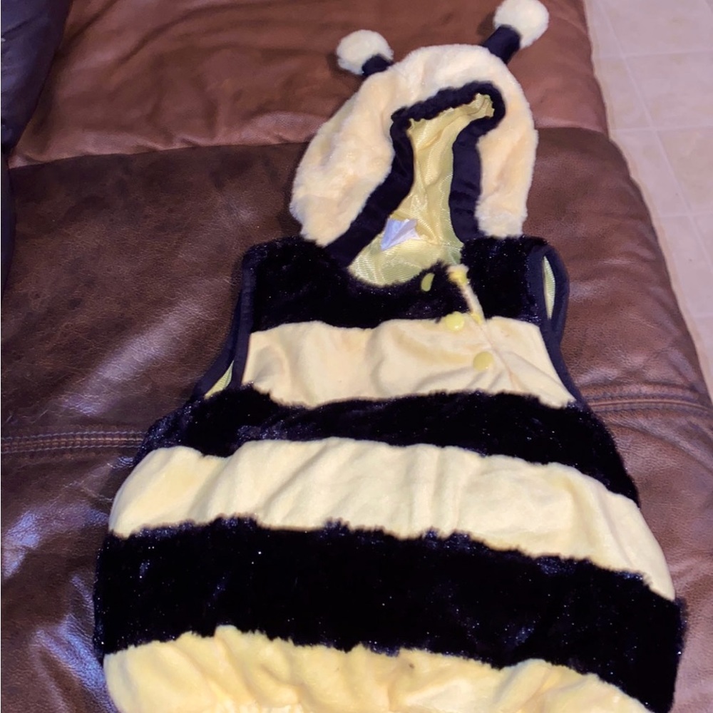 Bee baby costume